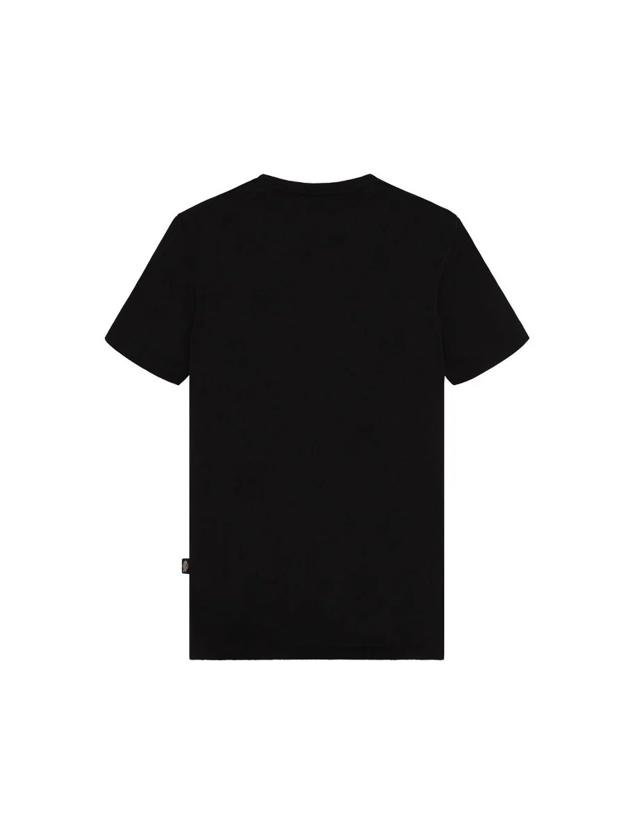 T-Shirt Dickies Mapleton Jr Preta - Image 7