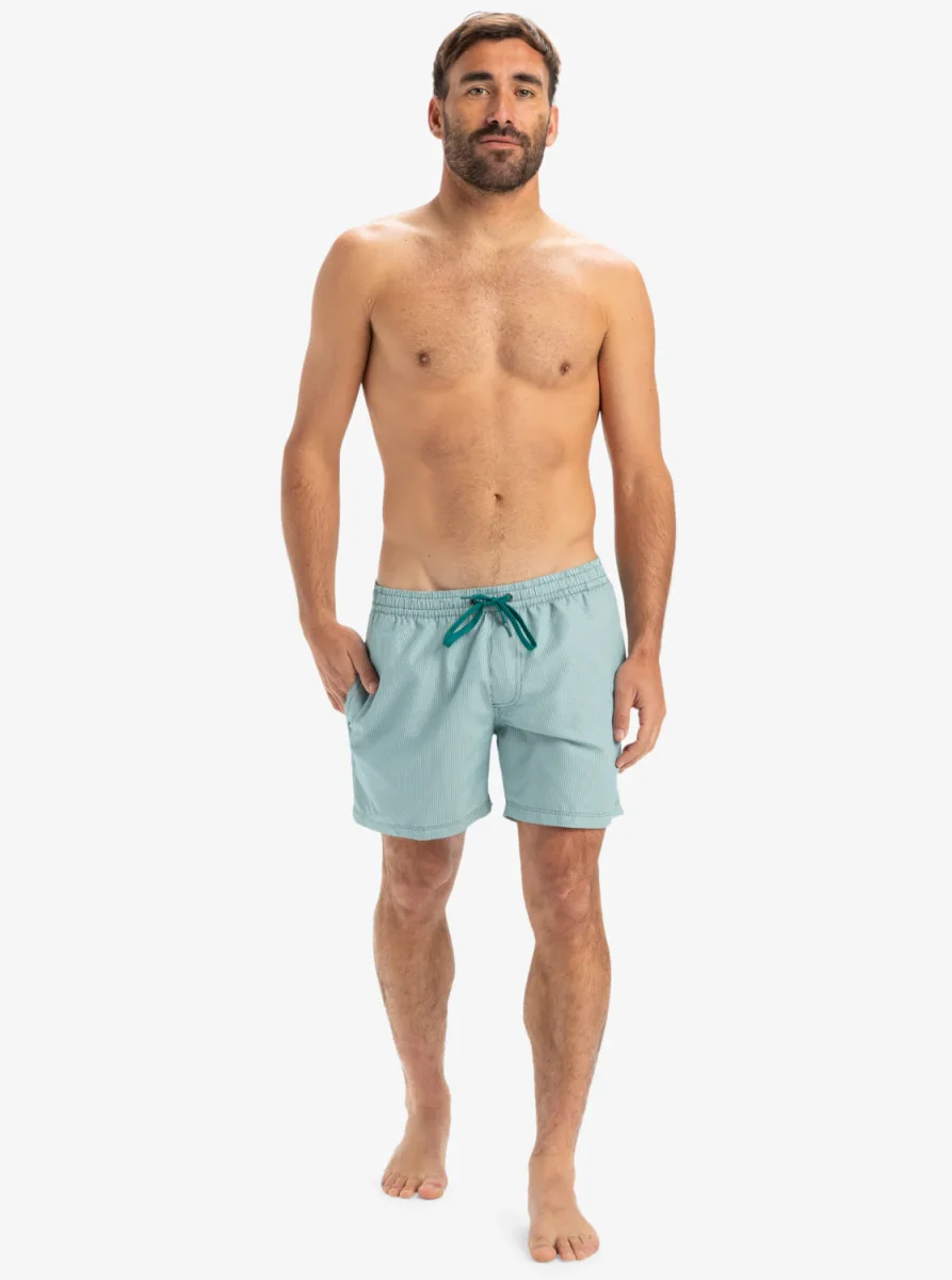 Calções de Banho Homem Quiksilver Everyday Deluxe Verdes - Image 6
